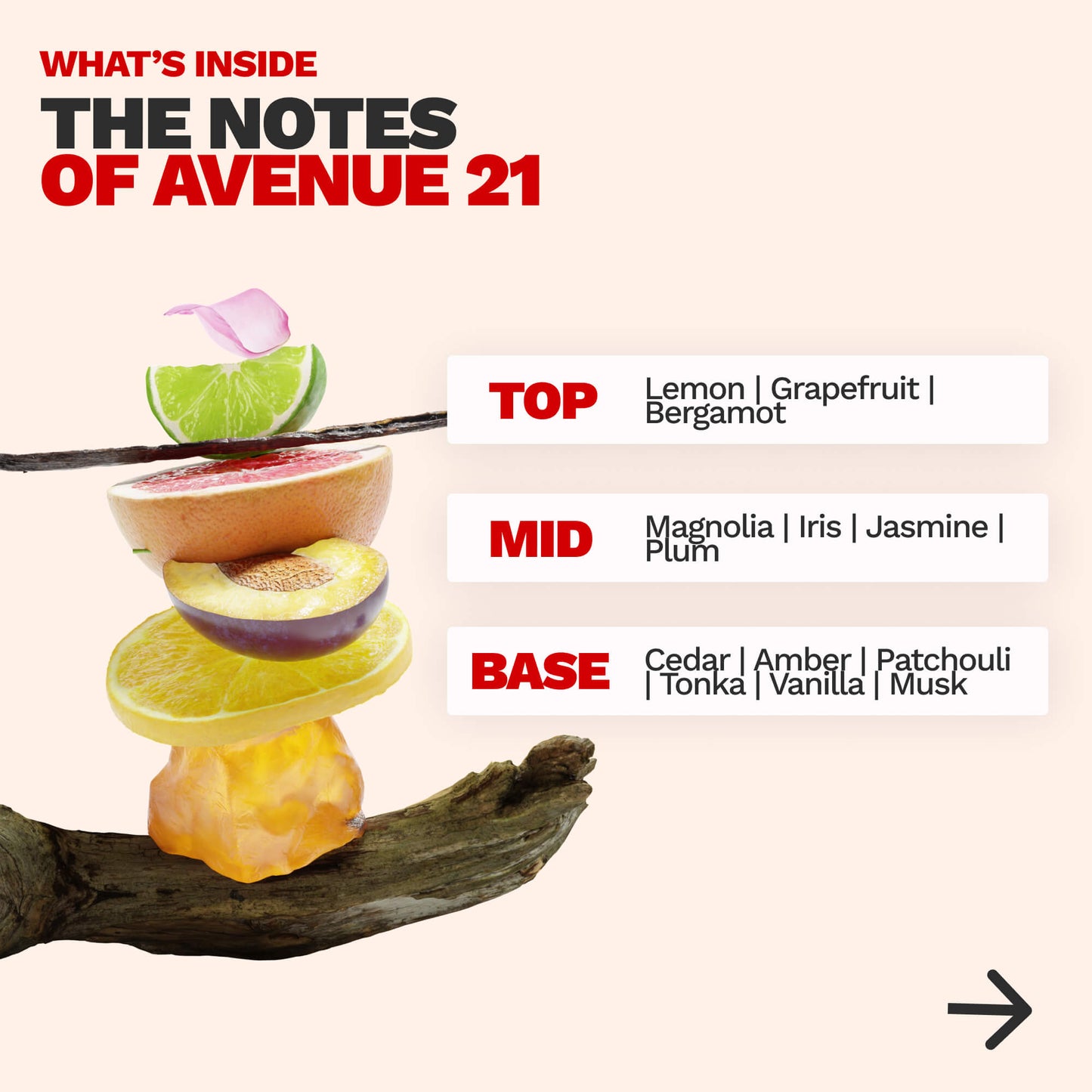 WOODY PRIMER - AVENUE 21