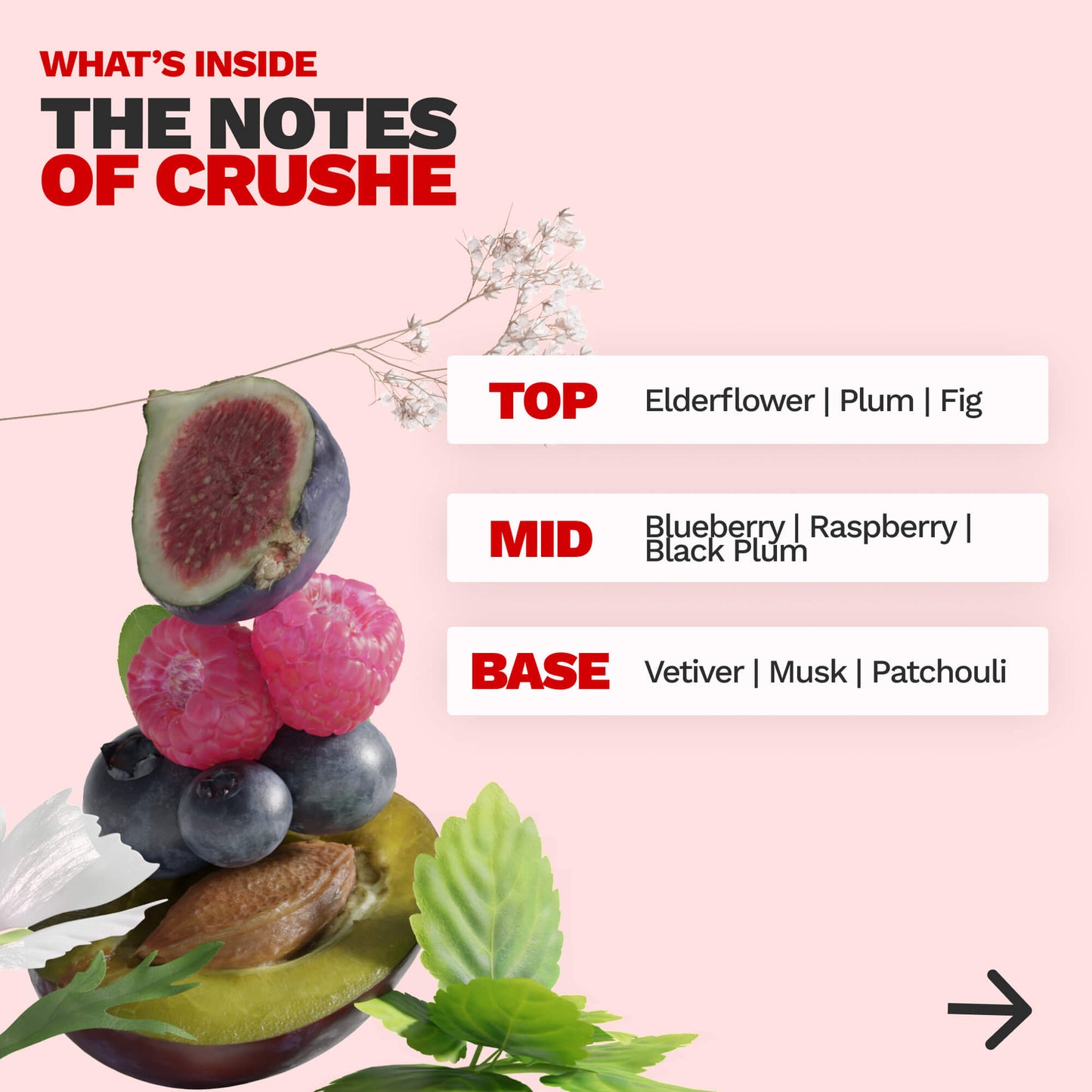 FRUITY PRIMER - CRUSHÉ