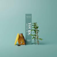 Citrus