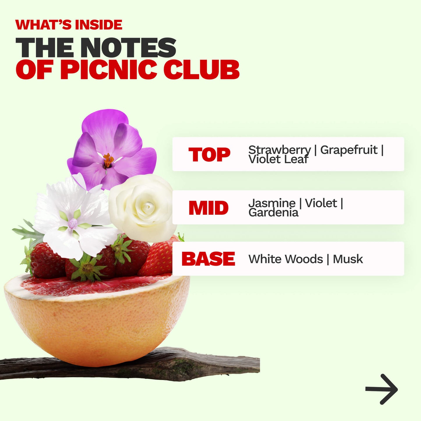 FLORAL PRIMER - PICNIC CLUB
