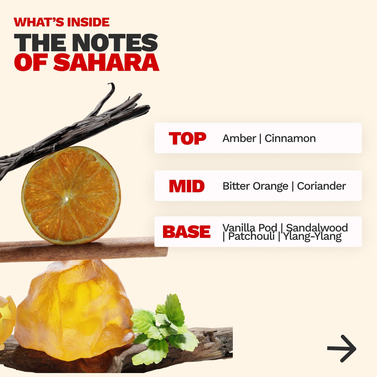 WARM PRIMER - SAHARA